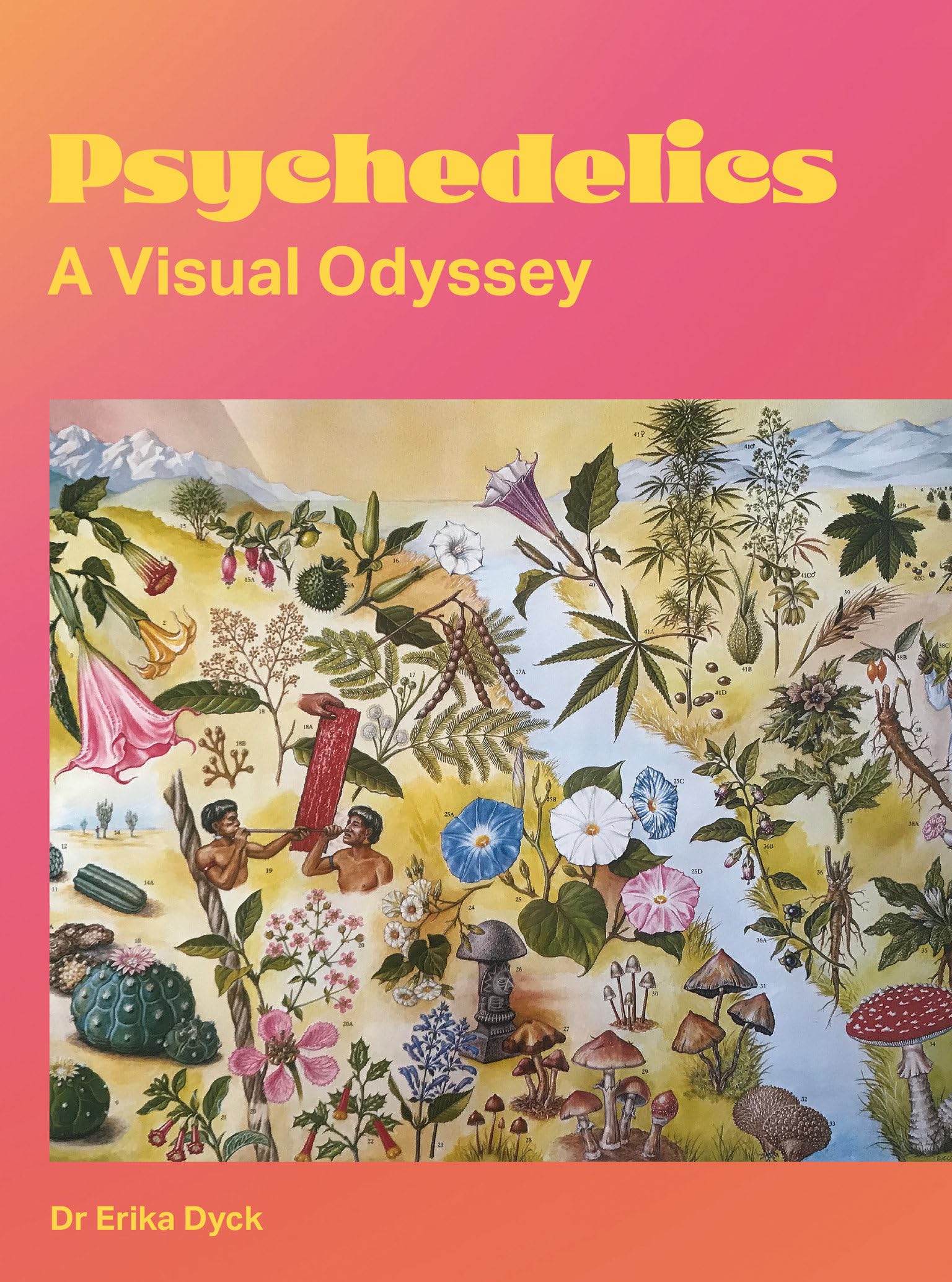 Psychedelics: A Visual Odyssey (Paperback)