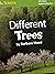 National Geographic Science K (Life Science: Plants): Explore on Your Own: Different Trees