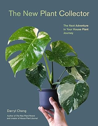 The New Plant Collector: The Next Adventure in Your House Plant Journey