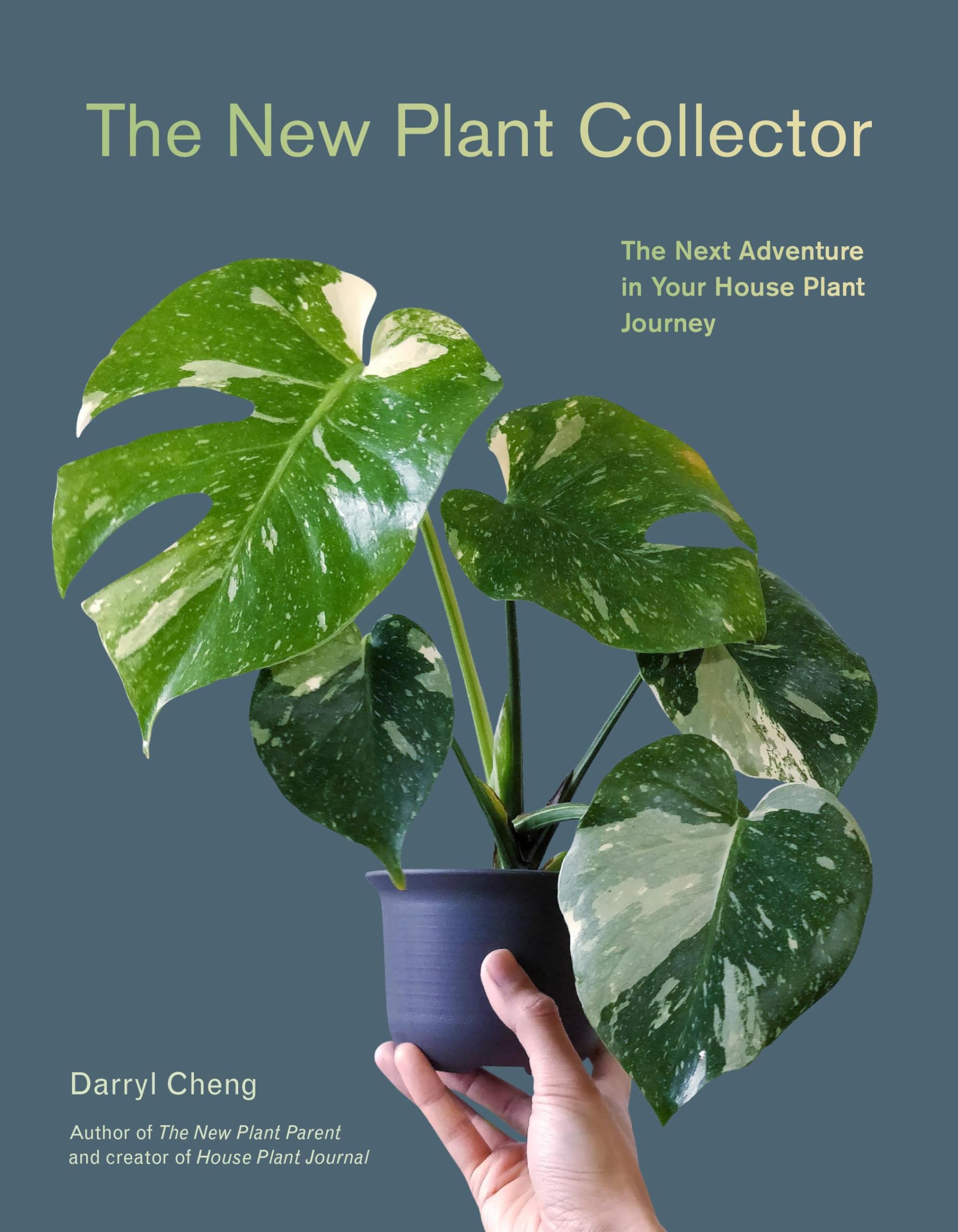 The New Plant Collector: The Next Adventure in Your House Plant Journey (Paperback)