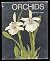 Orchids