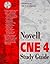Novell CNE 4 Study Guide by Cady, Dorothy, Heywood, Drew, Niedermiller-Chaffins, Debra, (1996) Hardcover