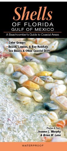 By Jeanne L. Murphy and Brian W. Lane Shells of Florida-Gulf of Mexico: A Beachcomber's Guide to Coastal Areas (Chrt) [Pamphlet]