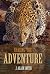 Chasing the Adventure