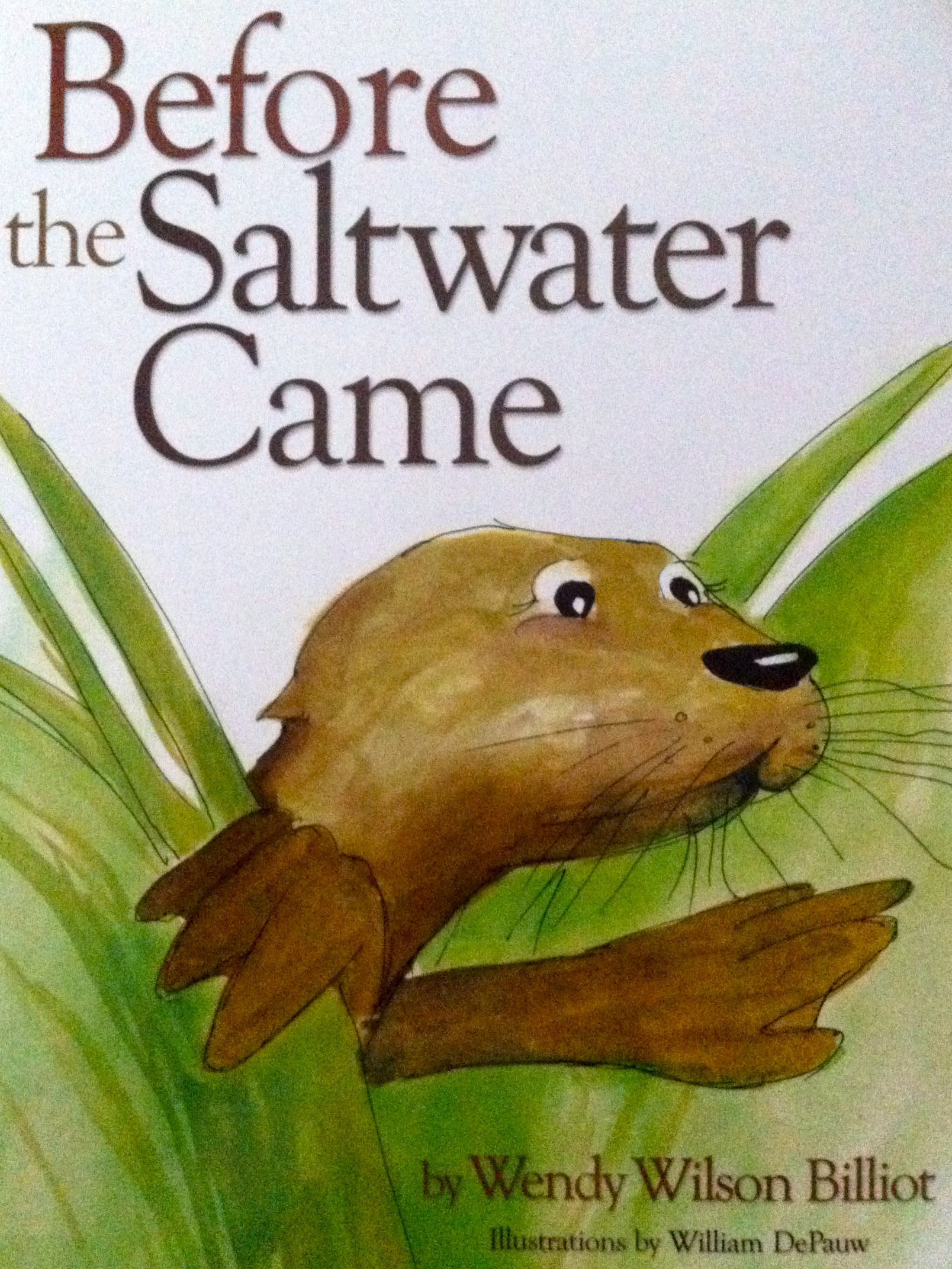 Before the Saltwater Came (Hardcover)