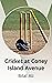 Cricket at Coney Island Avenue by Bilal Ali