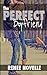 [The Perfect Boyfriend: Vol...