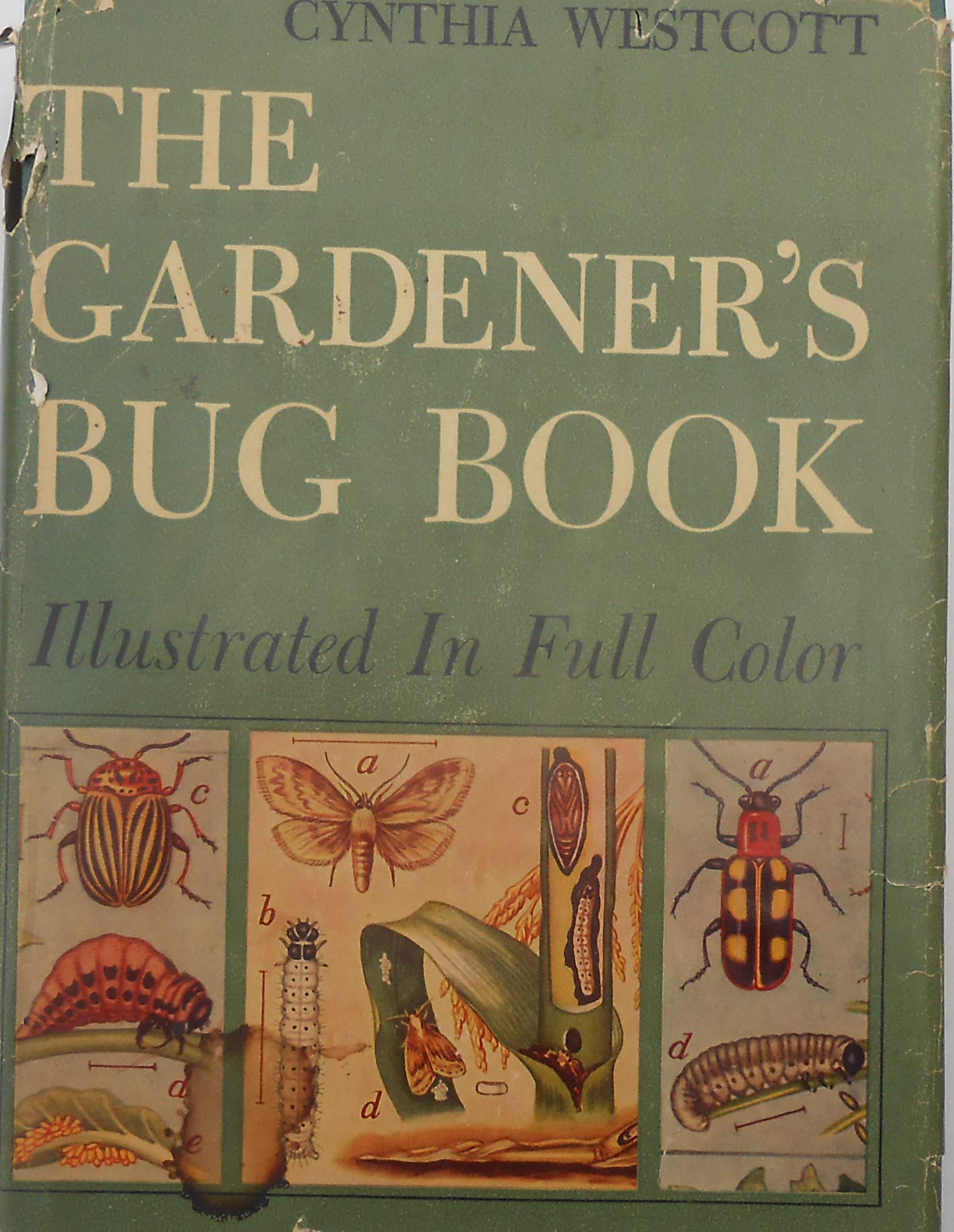The Gardener's Bug Book (Hardcover)