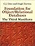 Foundation for Object / Relational Databases: The Third Manifesto by C. J. Date (1998-06-15)