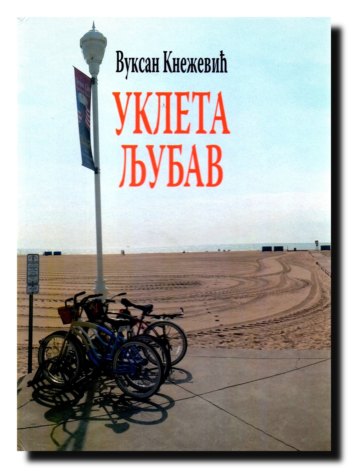 Ukleta ljubav (Hardcover)