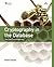 Cryptography in the Database Last Line of Defense [PB,2005]