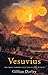 Vesuvius: The most famous volcano in the world by Gillian Darley (2012-05-24)