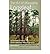 The Art of Managing Longleaf: A Personal History of the Stoddard-Neel Approach (Hardback) - Common