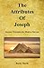 The Attributes of Joseph - Ancient Principles for Modern Success by Rusty Davis (2013-09-12)