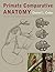 Primate Comparative Anatomy by Daniel L. Gebo (2014-09-09)