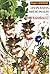 Les plantes médicinales du Père Raimbault