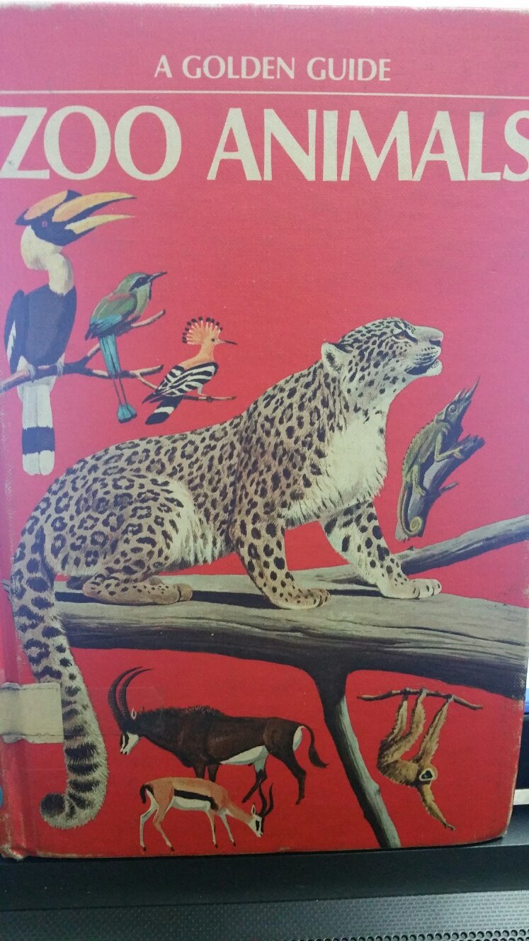 Zoo Animals (Hardcover)
