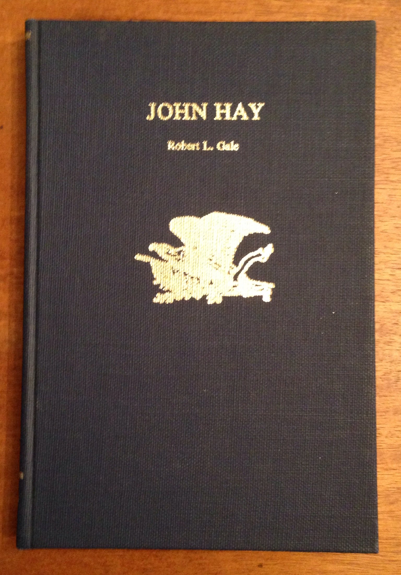 John Hay (Twayne's United States authors series ; TUSAS 296)