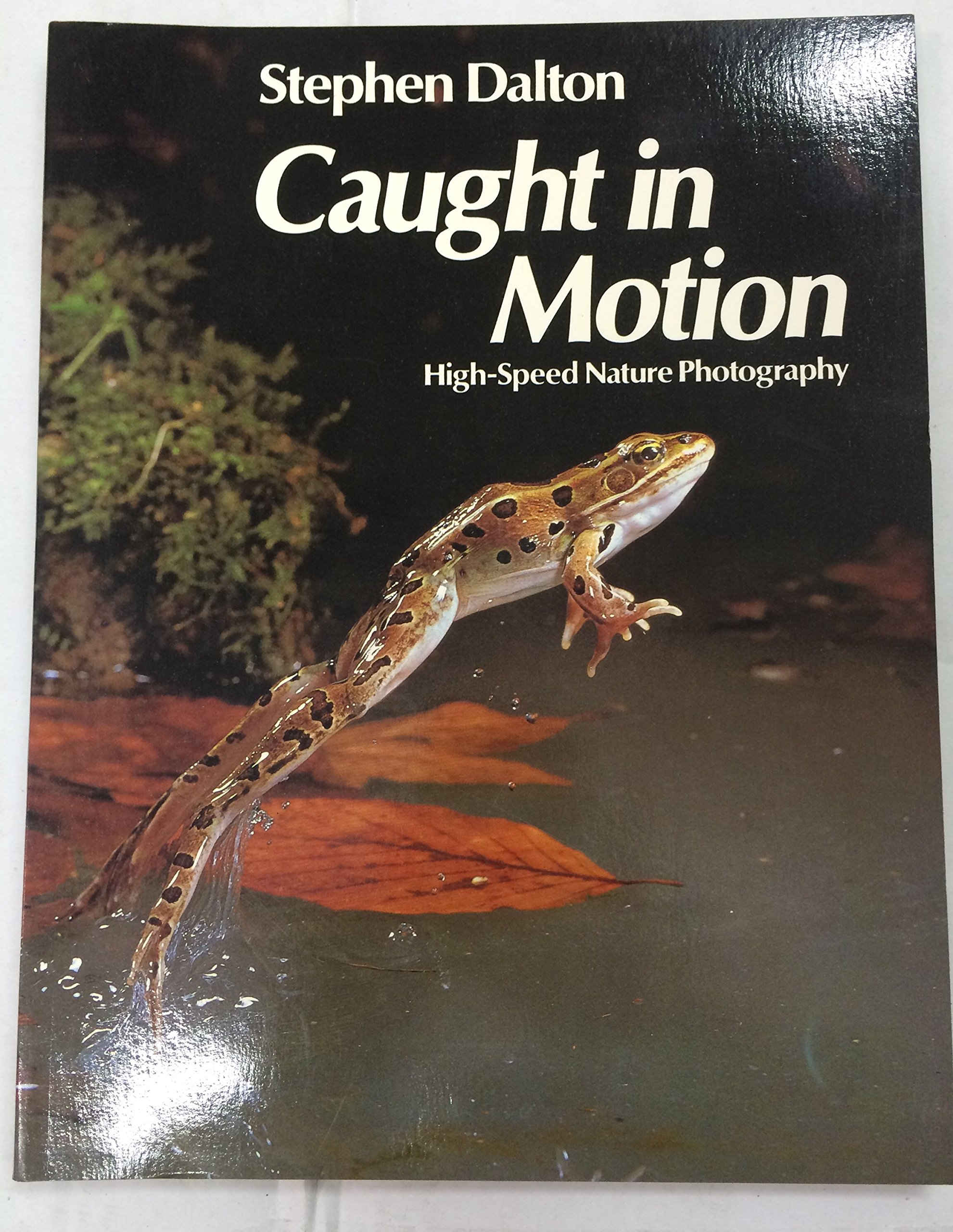 Caught in Motion: High-speed Nature Photography (Paperback)
