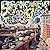 THE BROOKLYN-QUEENS EXPRESSWAY [LIMITED EDITION by Sufjan Stevens