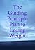 The Guiding Principle Plan ...