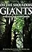 On The Shoulders Of Giants: 33 New Ways to Guide Yourself To Greatness [Paperback] [2008] (Author) Rhondalynn Korolak