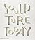 Sculpture Today by Collins, Judith (2014) Paperback
