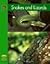 Snakes and Lizards (Yellow Umbrella Books: Science) by Ellen Catala (1-Jul-2004) Hardcover