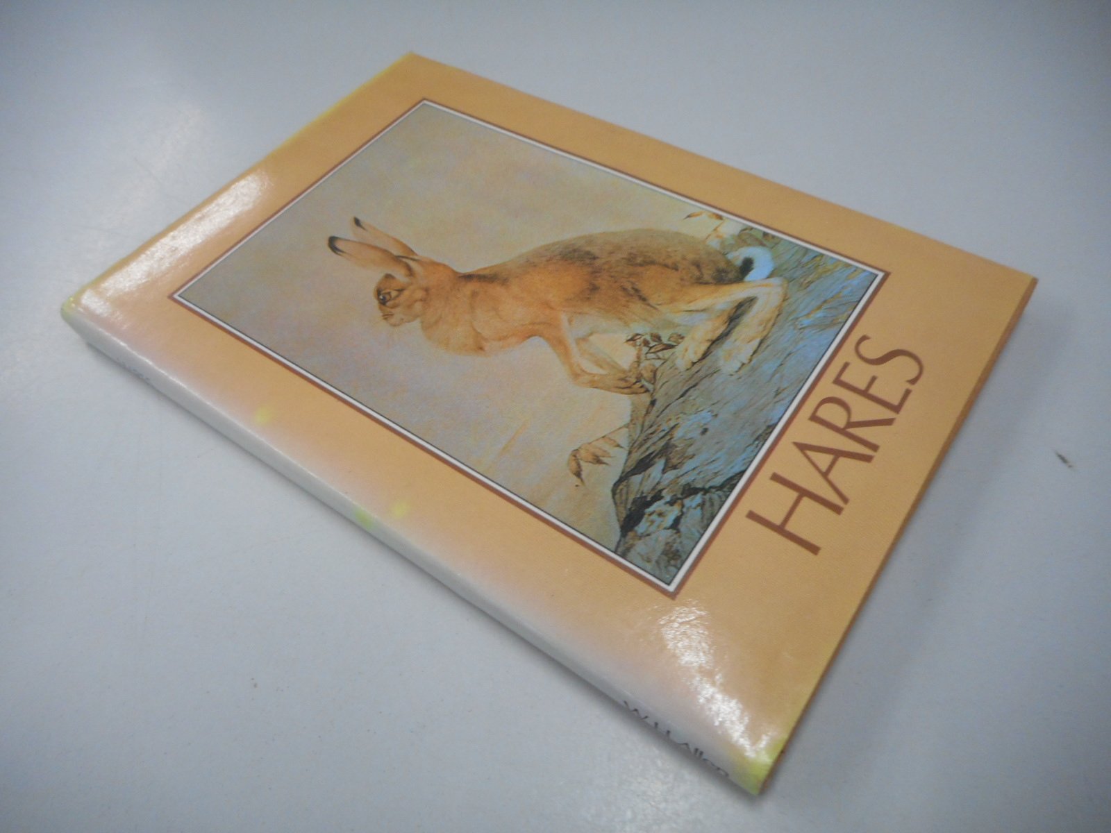 Hares (Hardcover)