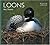 Loons (Worldlife Library) by Roy Dennis (1993-06-21)