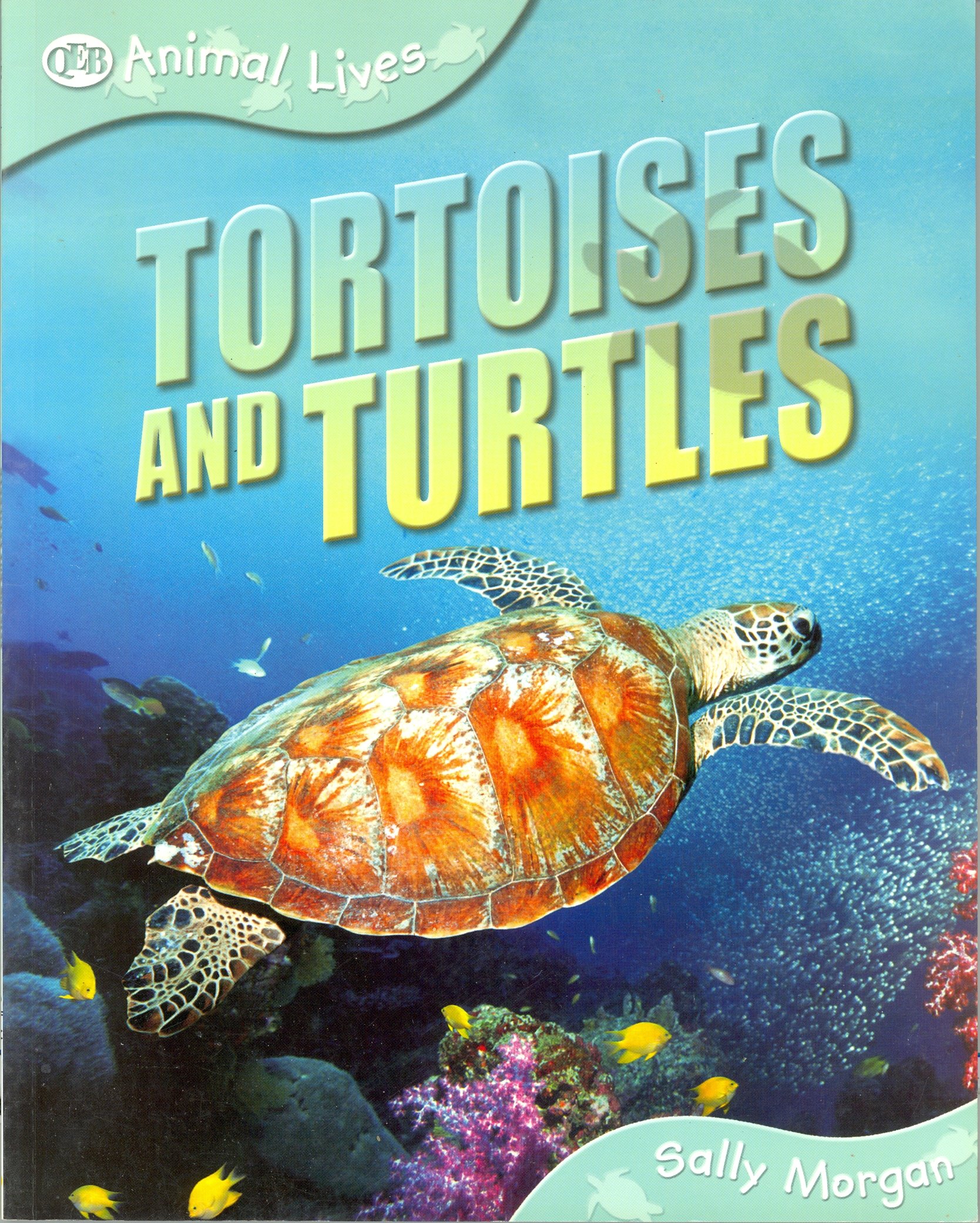 Tortoises and Turtles (Animal Lives)