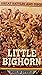 Little Bighorn (Great Battles and Sieges)