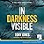 In Darkness Visible