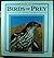 African Birds of Prey