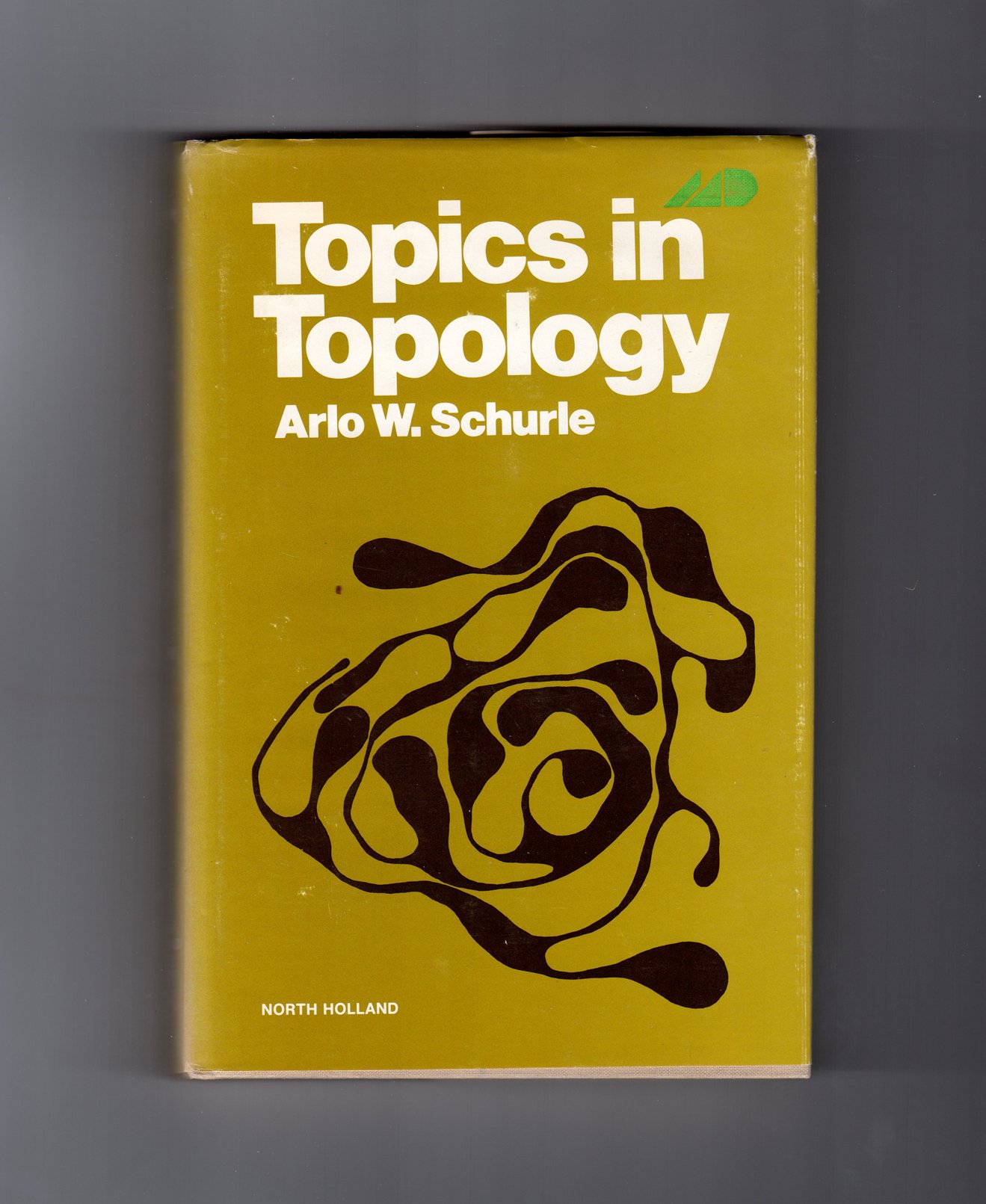 Topics in Topology (Hardcover)