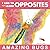 By Alex A. Lluch I Like to Learn Opposites: Amazing Bugs (Brdbk) [Board book]