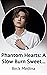 Phantom Hearts: A Slow Burn...