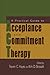 A Practical Guide to Acceptance and Commitment Therapy (2010-02-19)