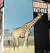 Wildlife Fact Fil...