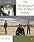 The Technique of Film and Video Editing: History, Theory, and Practice (Portuguese Edition) 5th edition by Dancyger, Ken (2010) Paperback