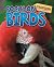 Birds (Classification: Focu...