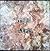 Tree of Life: The Inaugural Exhibition of the American Visionary Art Museum