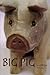 Big Pig