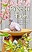 Pigeon Tales by Anila Syed