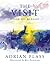 Visit by Plass, Adrian (1999) Hardcover