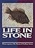 Life in Stone (Plateau Maga...