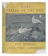 More Birds of the Day