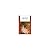 Charlotte Temple by Rowson, Susanna [Bedford/St. Martin's, 2010] ( Paperback ) [Paperback]