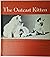 The outcast kitten