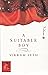 A Suitable Boy Volume 2 by Vikram Seth